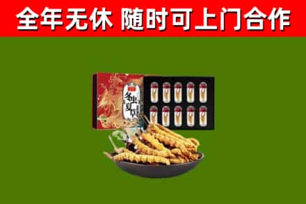 蚌埠市烟酒回收冬虫夏草礼盒.jpg